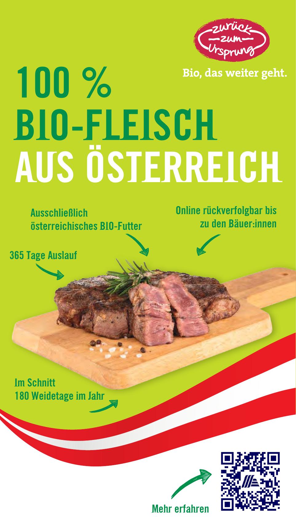 Hofer flyer page