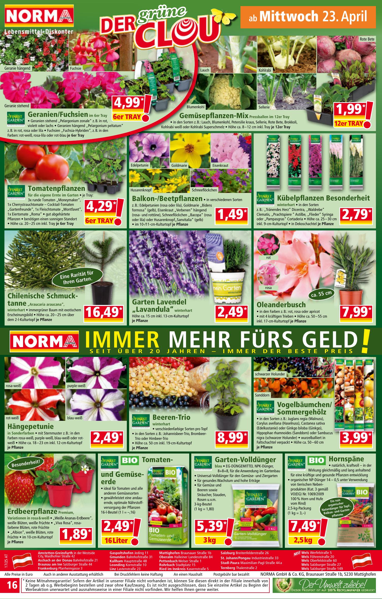 Norma flyer page